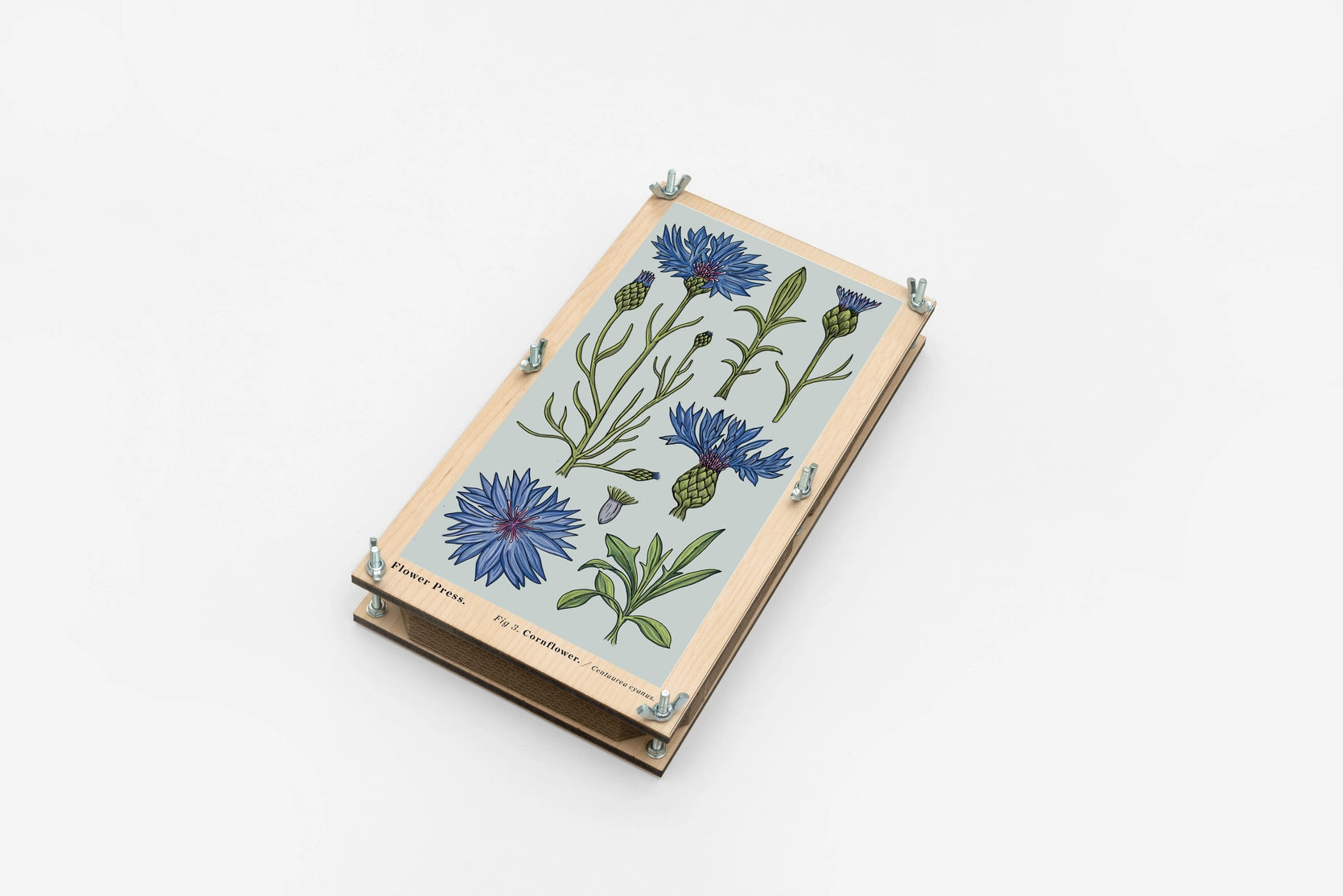 Large Flower Press - Vintage Cornflower
