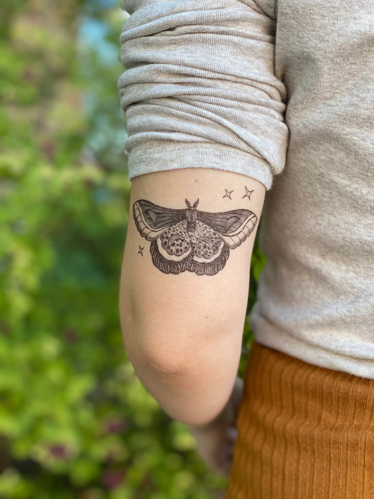 Hand Drawn Butterfly Image  Photo Free Trial  Bigstock