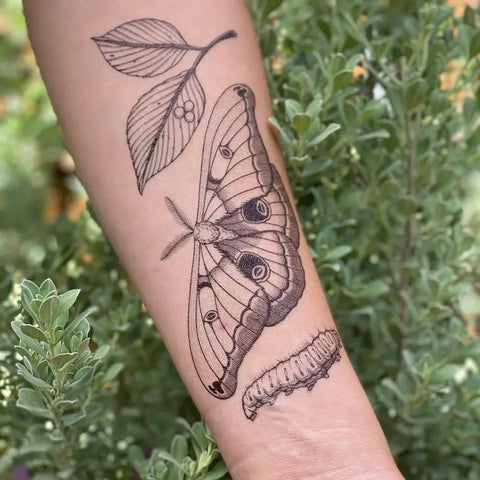 Moth Tattoo  Behance