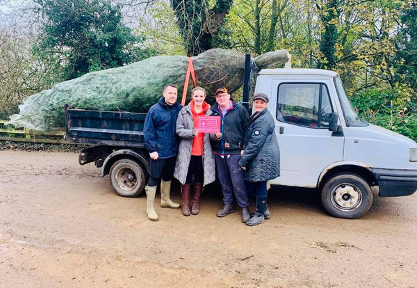 Christmas Tree Delivery