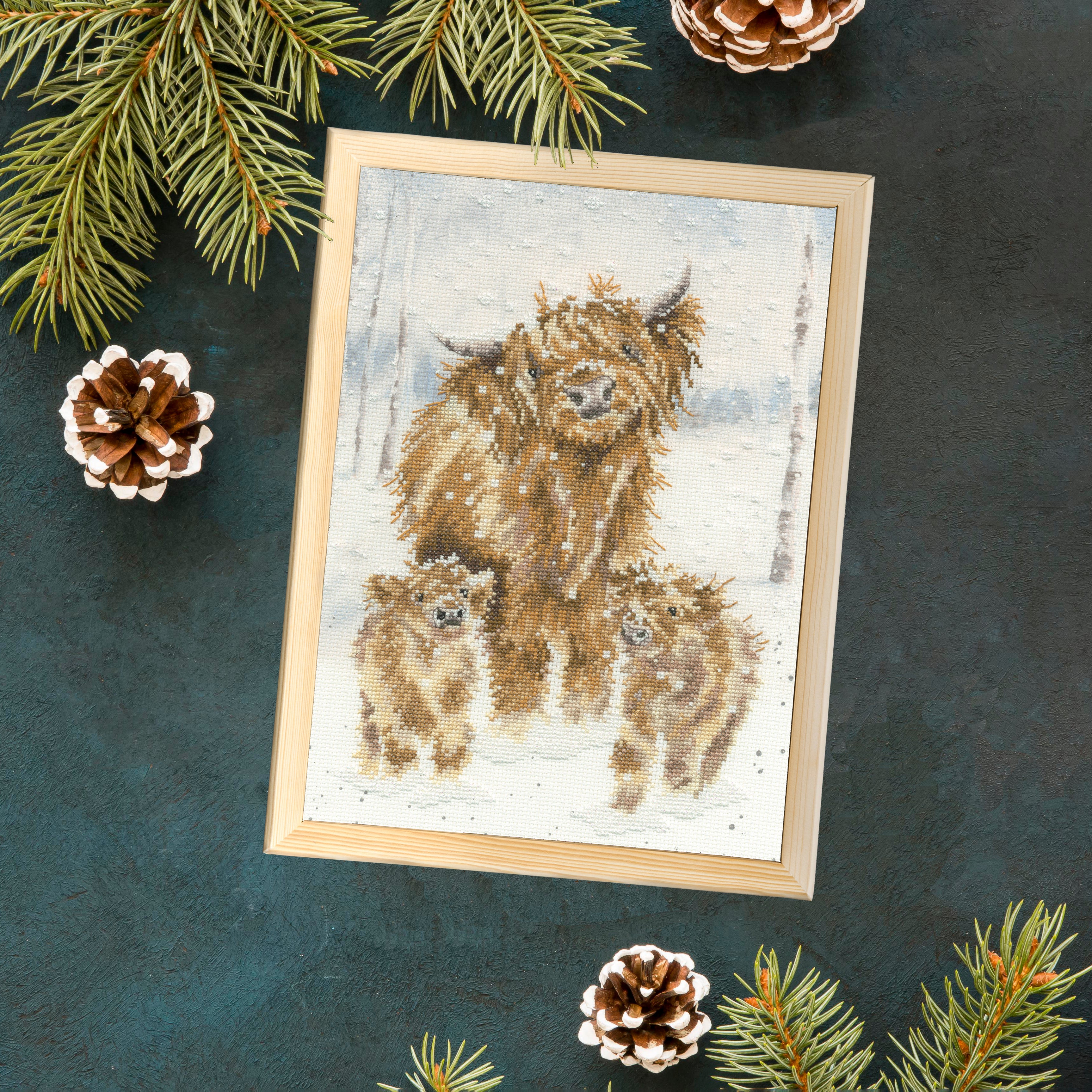 Seasons Tweetings' Robin Christmas stocking – Canalside Crafts