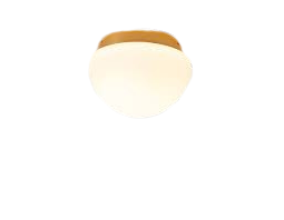 Estiluz Circ t-3832 plafondlamp