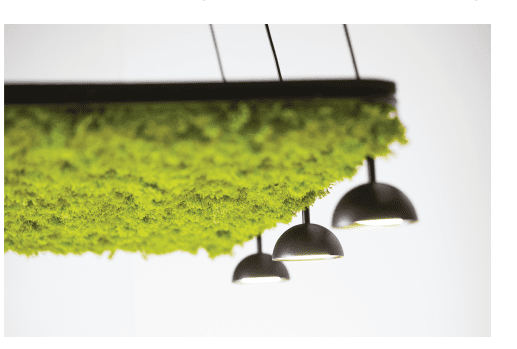 Estiluz - Acoustic panel with greenery wit Accessories