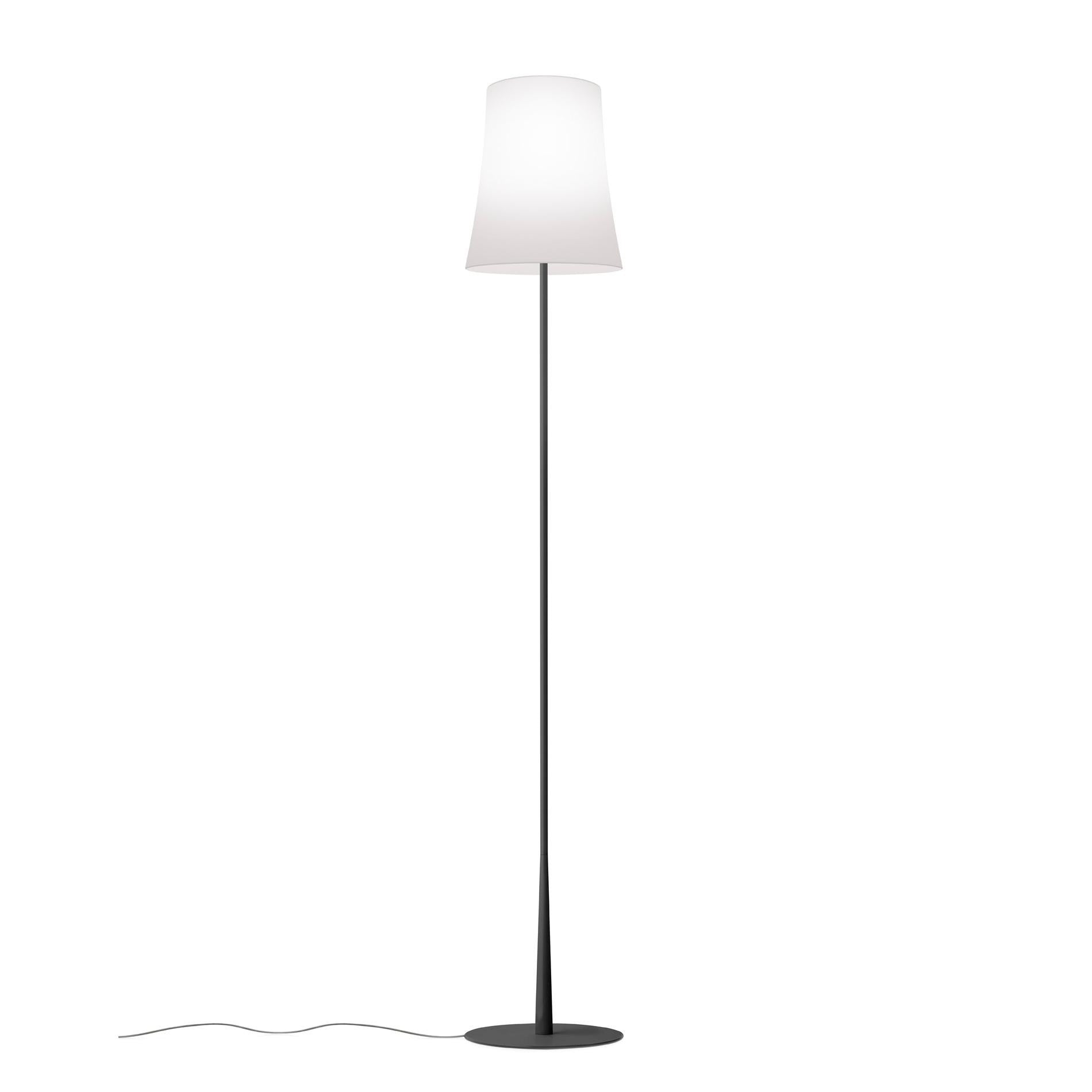 Foscarini - Birdie easy reading vloerlamp