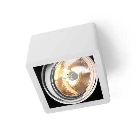 Trizo21 - R110 up G53 LED wit ring Plafondlamp