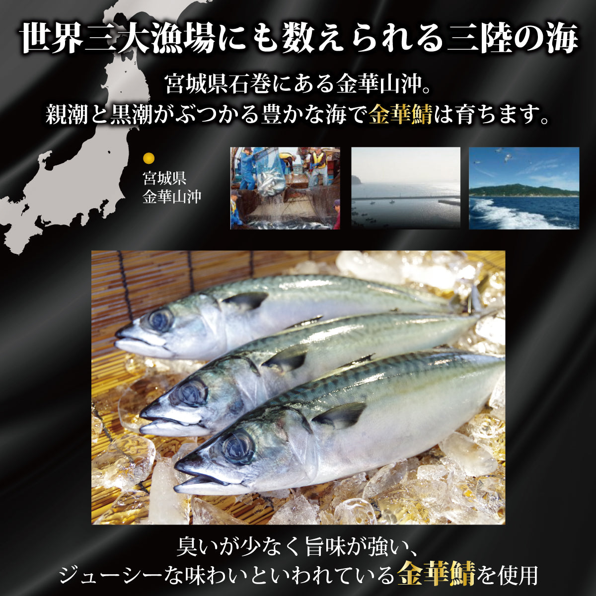 冷凍刺身 金華鯖の〆鯖 しめさば 1パック 金華鯖の鯖寿司の通販 お取り寄せ 華ずし公式サイト