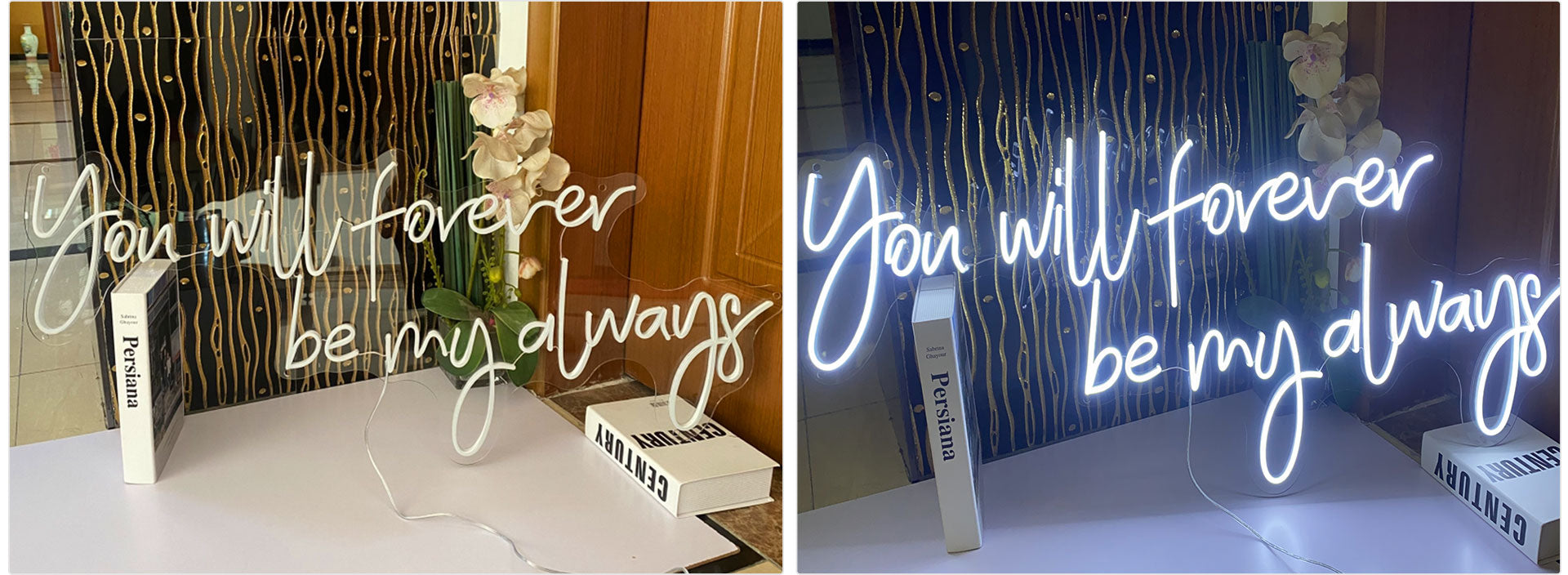 Cold white neon signs