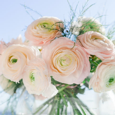 cabane sustainable flowers