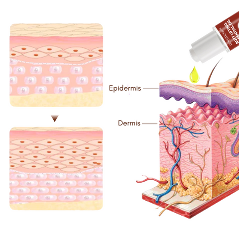 Dobshow™ Butt Lifting Essential Oil
