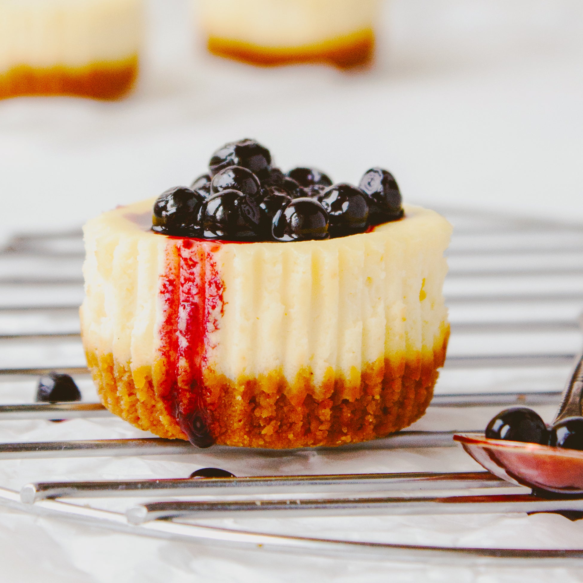 GreenLife | No-Bake Mini Cheesecakes