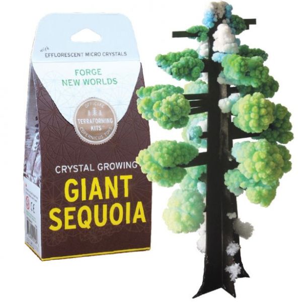 Crystal Growing Kit: Giant Sequoia - ThatsMyPark