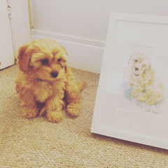 Puppy painting