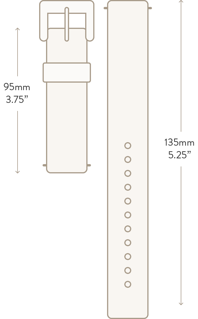Watch Band Size Guide Hadley 