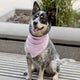 I Love My Dog Mom Light Pink Dog Bandana