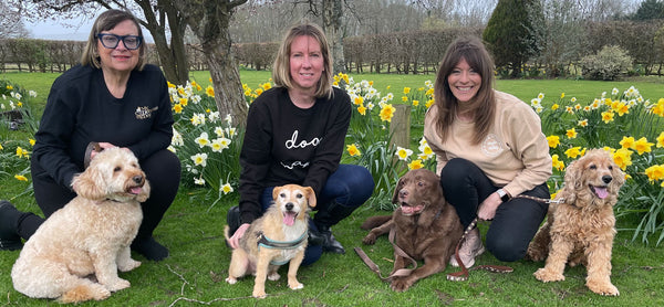 The Debonair Dog Team; Clare, Helen, Lorraine and their dogs Mocha, Monty Obee, and Smudge