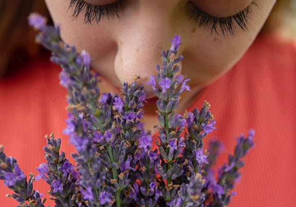 Woman smelling a lavender bush for Seventh Sense 