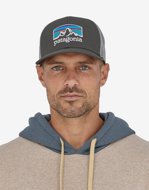 Patagonia P-6 Logo LoPro Trucker Hat (Steam Blue)