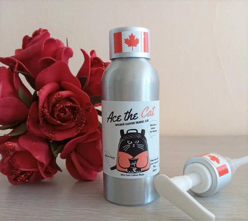 Revamped Parkdale Toronto Clothes: Sustainable Holiday Gift Guide: Ace the cat