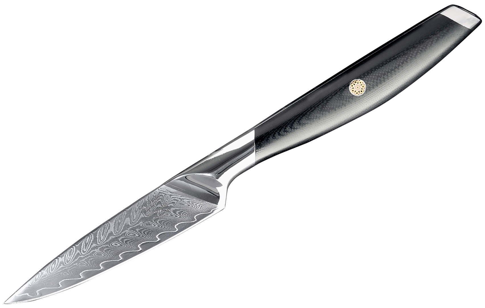 Paring Knife 3.5 inch Small Kitchen Knife, Sharp Fruit Knife Stainless  Steel