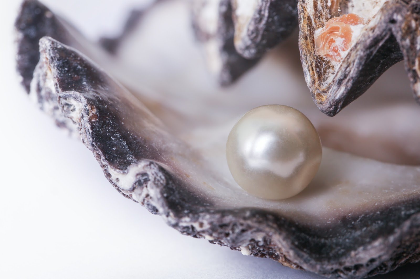 Birthstone of June: the Pearl - Royal Coster Diamonds