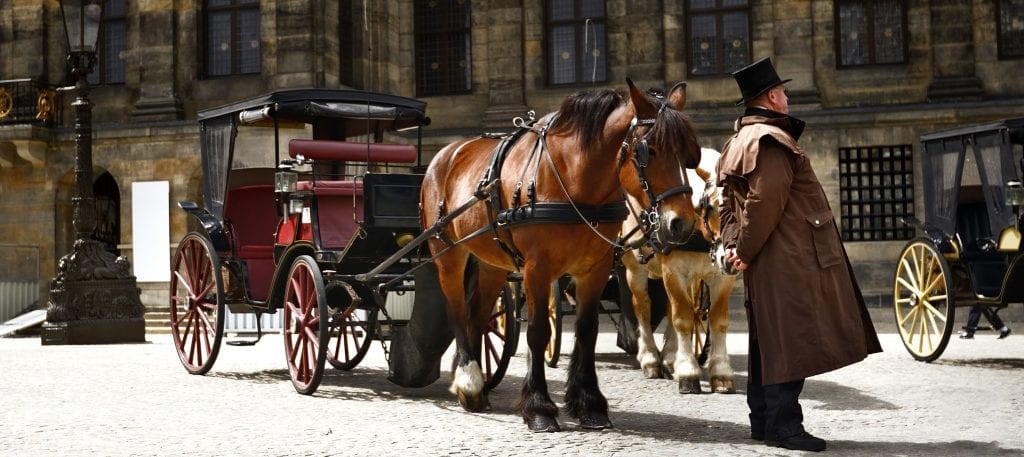 horse and carriage in amsterdam at dam square