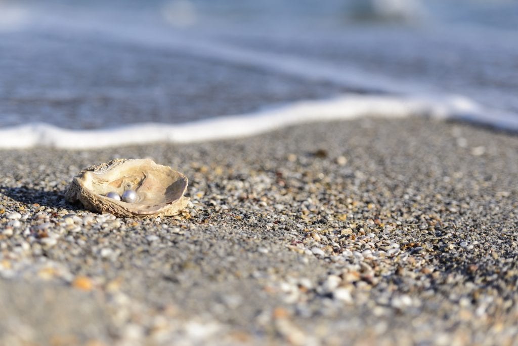 pearl in an oyster on beach