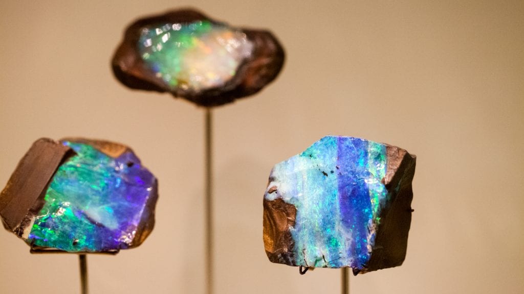 different pieces of opal on holders