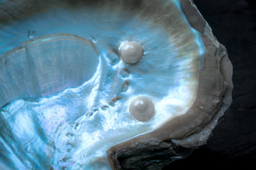 pearls in dark oyster