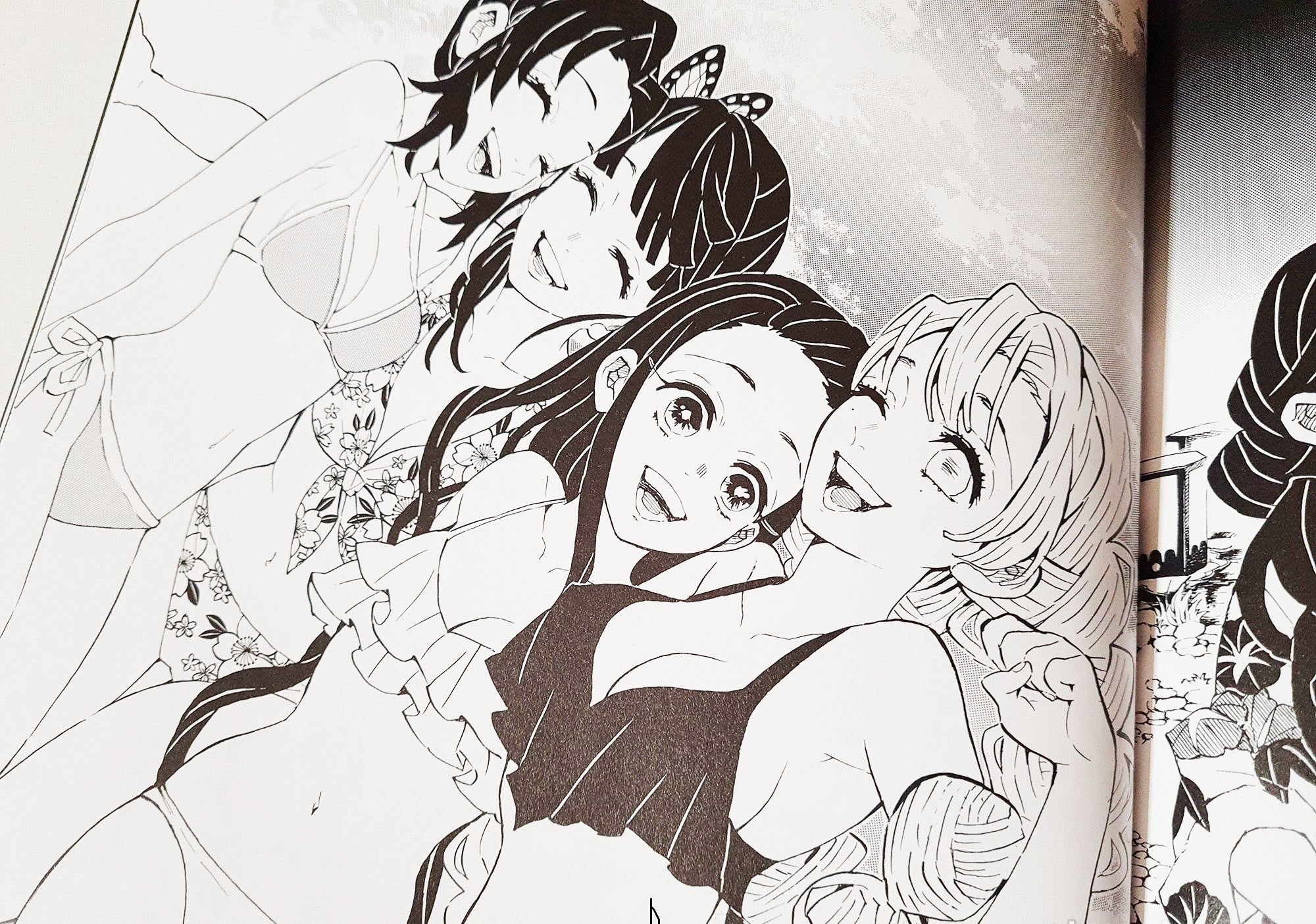 Demon Slayer: Kimetsu no Yaiba - Illustration Book--3