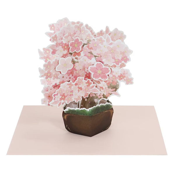 Carte Pop-up 3D - Sakura Tree--0