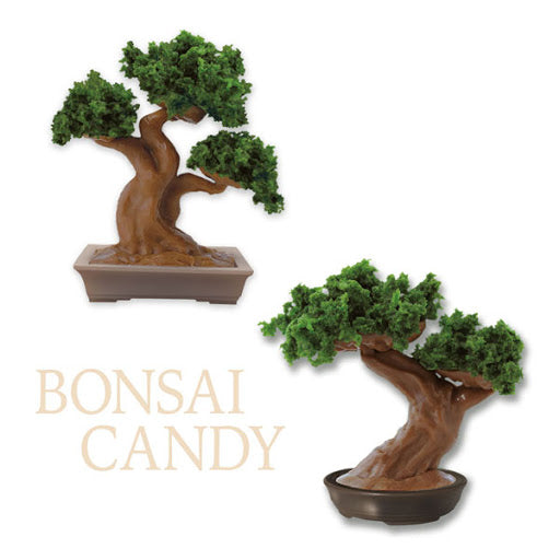 Bonsai Candy Kit --1