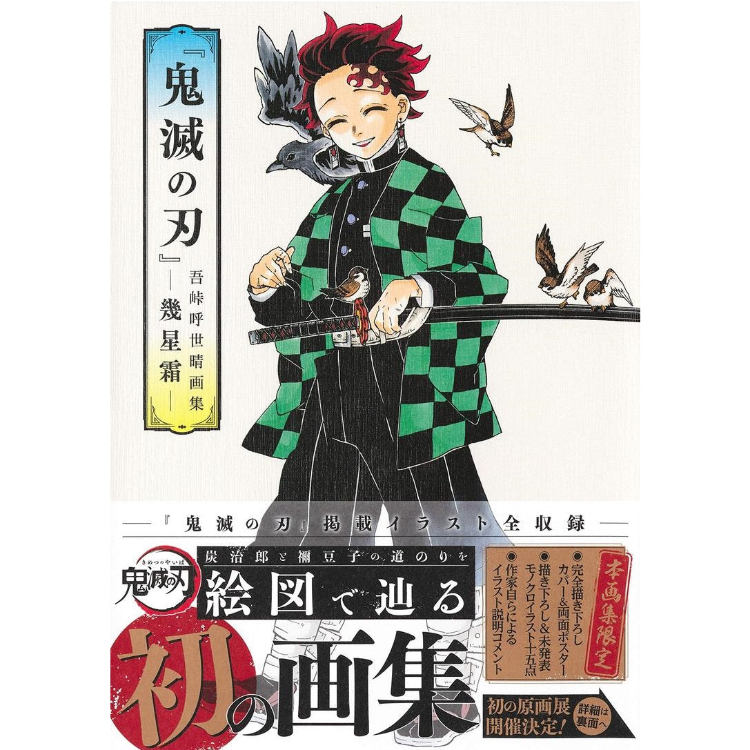 Demon Slayer: Kimetsu no Yaiba - Illustration Book--0