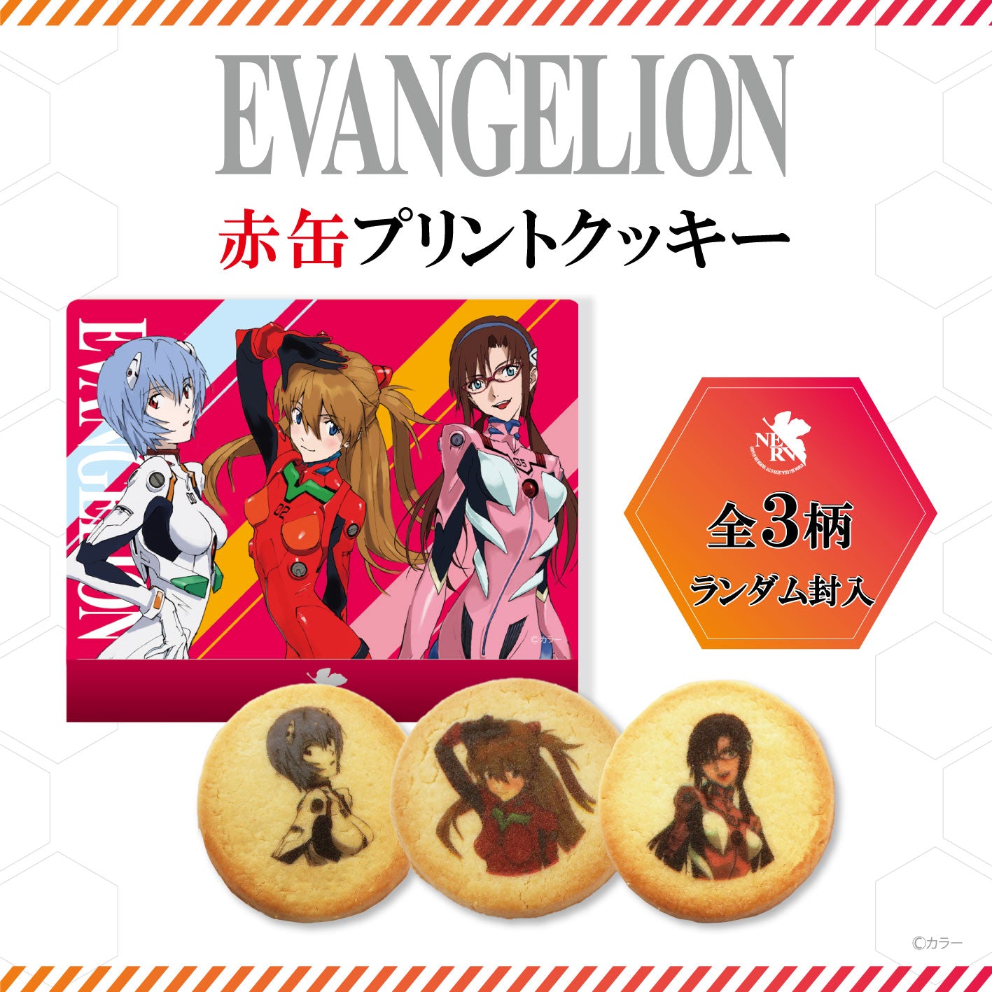 Evangelion Cookies (metal box) --0