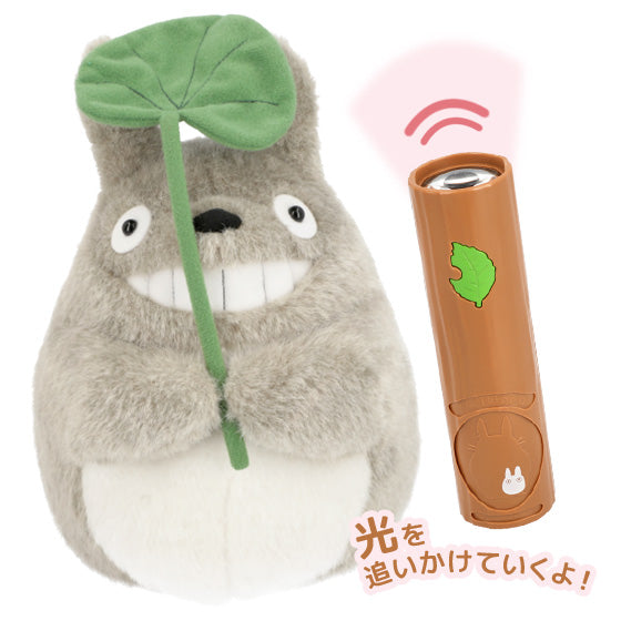 Oikakekko Totoro--0