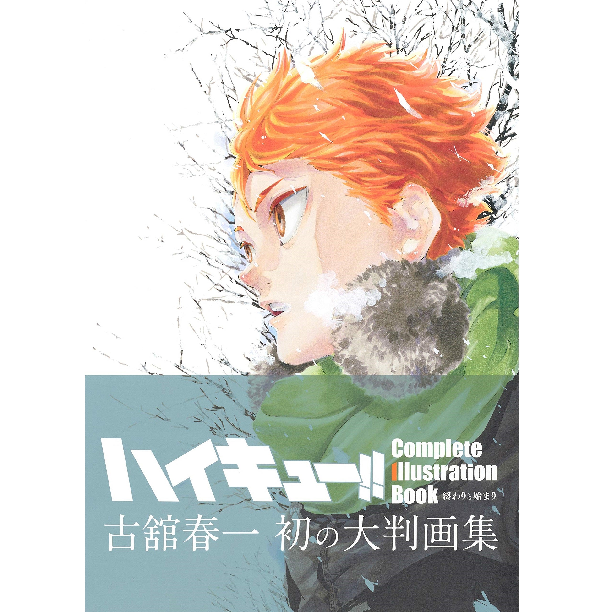 Haikyuu!! Complete Illustration book--0