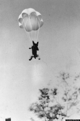  Smoky parachuted 9.1m out of a tree, using a parachute made especially for her. 