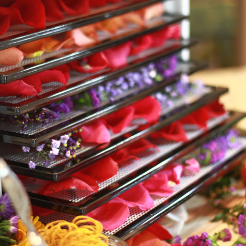 Assorted Potpourri in dehydrator