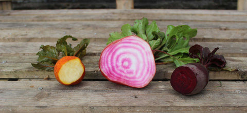 Beetroot Colours - 3 varieties