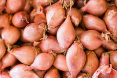 Eschalots - Shallots, also known as eschalots or French shallots, are a type of onion related to the garlic family. 