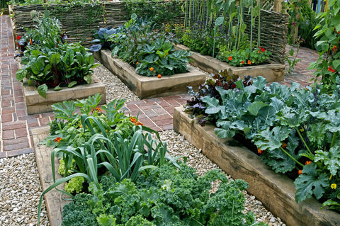 Small Garden Beds - Backyard Homesteading in the Suburbs