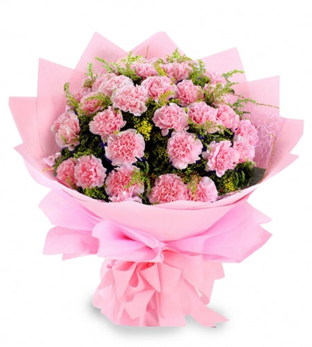 Ramo Grande de 24 Claveles Rosados – Tesoro Floral