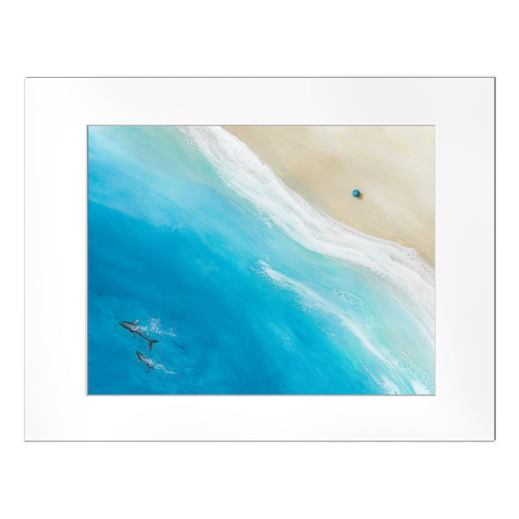 Matted Prints＆FrameSet – Sarah Caudle Art Japan