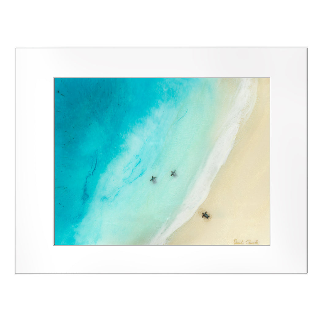 【Sarah Caudle / サラカードル】”Big Beach”Matted Print