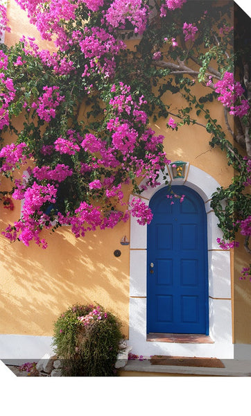 Blue Door Outdoor Canvas Art