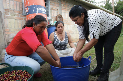 50 Amigas coffee grower women colombia empowerment gender equality indiegrow