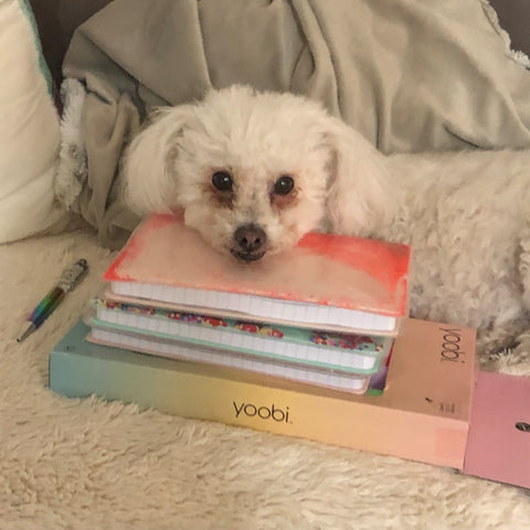 Dexter happy with his Yoobi journals