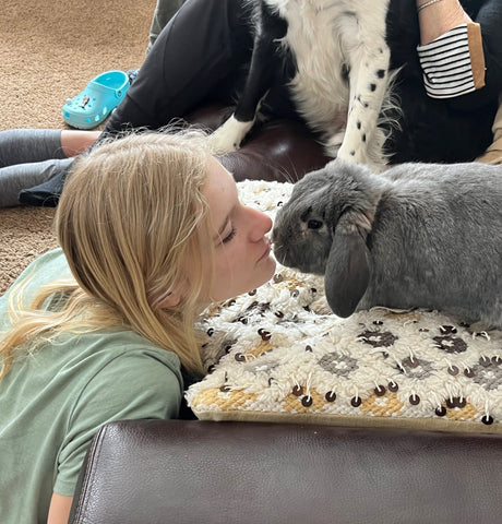 Enzo the bunny getting kisses