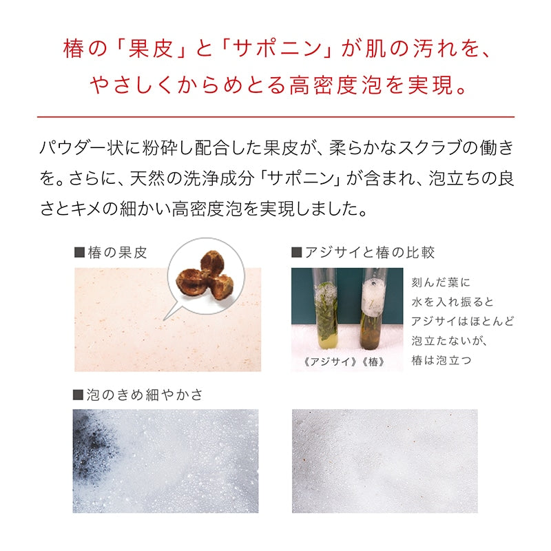まるごと椿石鹸 4個おまとめセット | anubanssk.ac.th