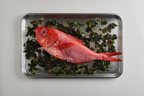 Some of our favorite seasonal fish right now! Kinmedai 金目鯛(Golden Eye  Snapper) Kuromutsu黒むつ(Japanese Bluefish) Nodoguroノドグロ(Rosy…