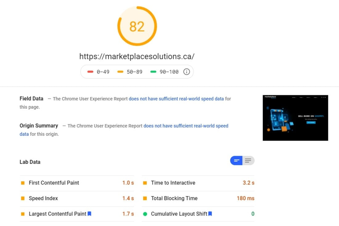 Google PageSpeed Insights Example